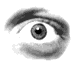 Seekie
